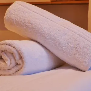 Hébergement de vacances Au Charme D'antan En Plein Coeur Du Vieux 